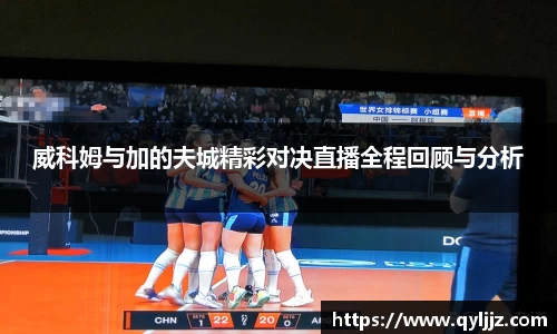 米乐YY易游