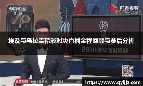 yy易游体育